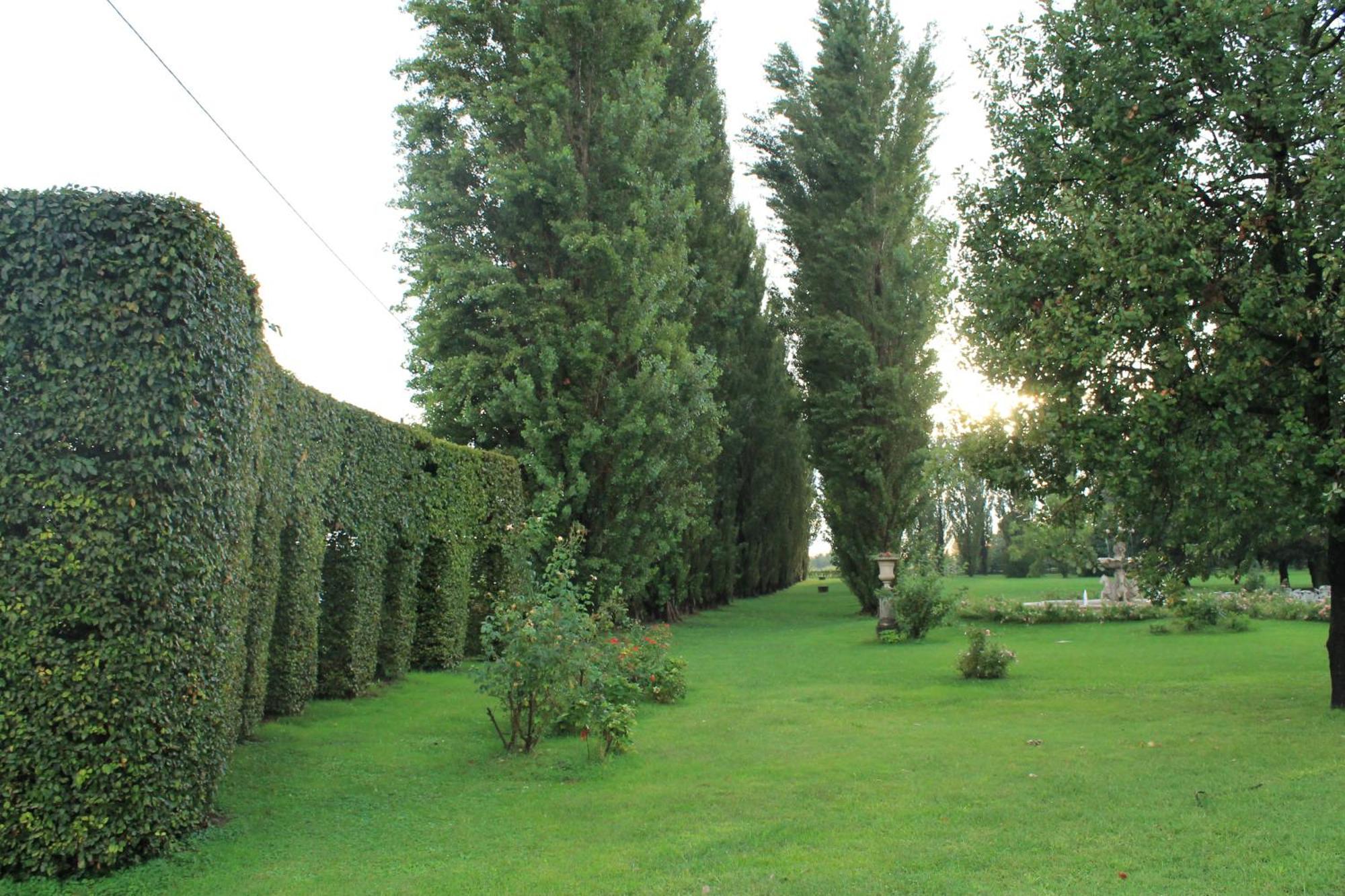Villa Belvedere 1849 Misano di Gera d'Adda Екстер'єр фото